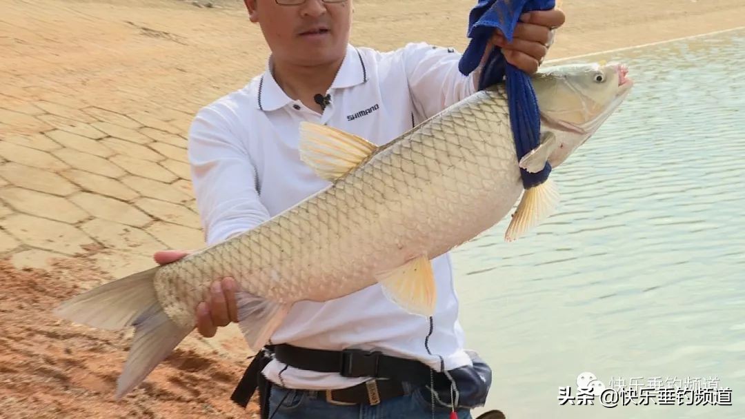 野钓绝招大全视频,野钓10大关键技巧