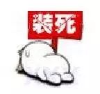 2022上海墓地价格表,上海滨海古园墓地价格表2021