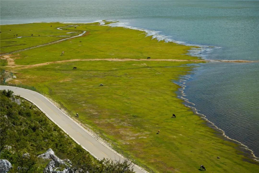 马牌轮胎究竟怎样,马牌轮胎有多强