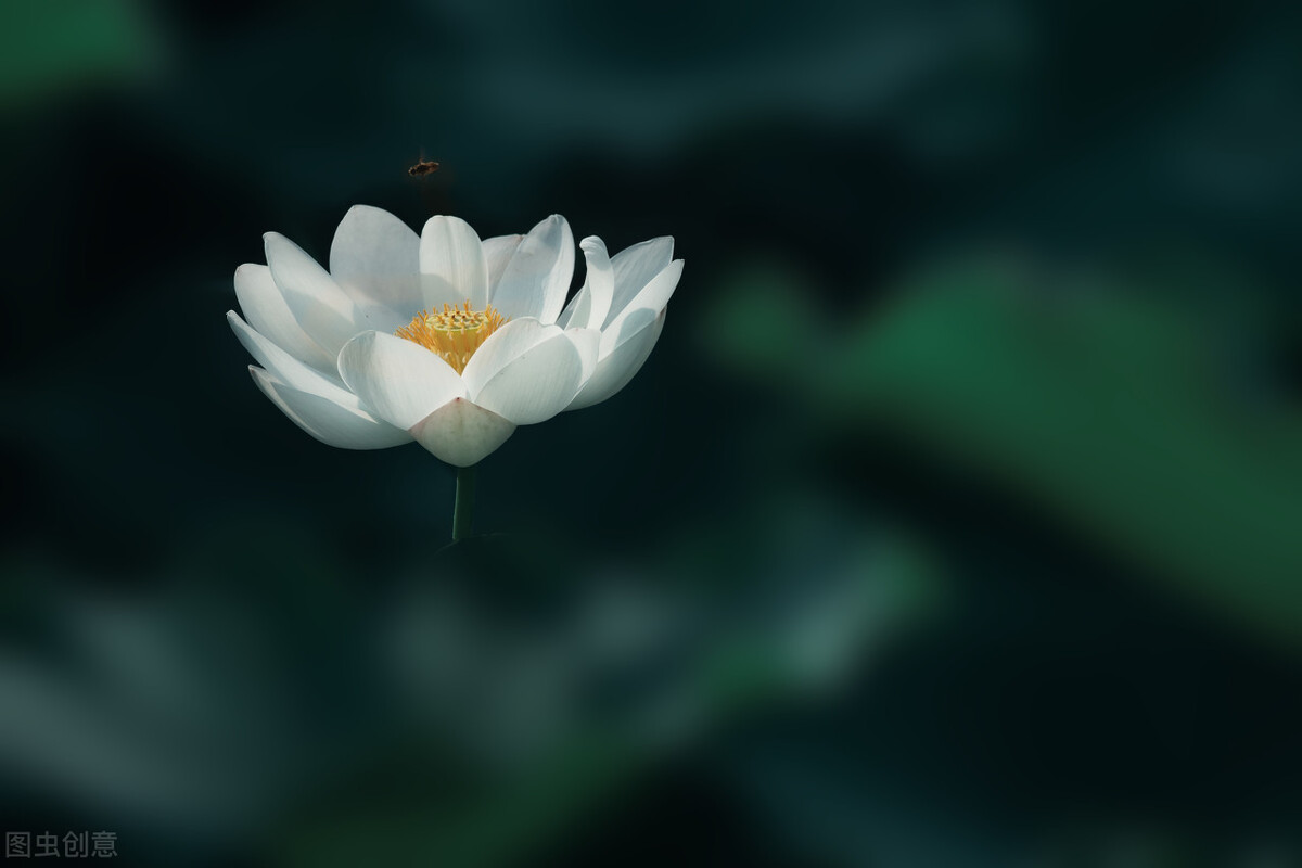 产科女医生的故事,妇产科门诊精彩故事