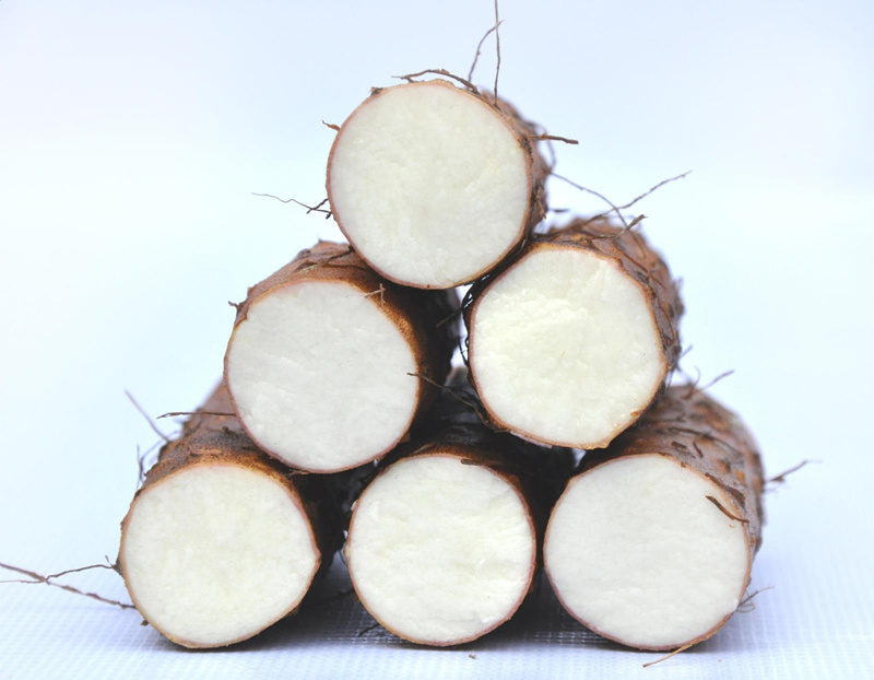 脚背长湿疹是湿热重的表现吗,爱长湿疹皮炎是湿热重还是脾胃差