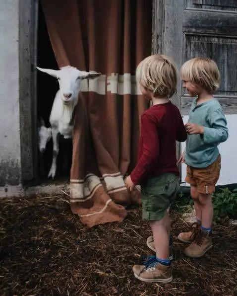 她放弃城市生活,一家人搬到乡下田园:自给自足