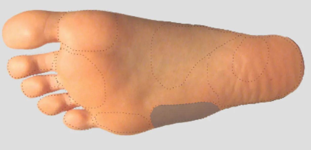 足踝外侧足底疼痛,内踝下方靠近足底的哪个位置痛