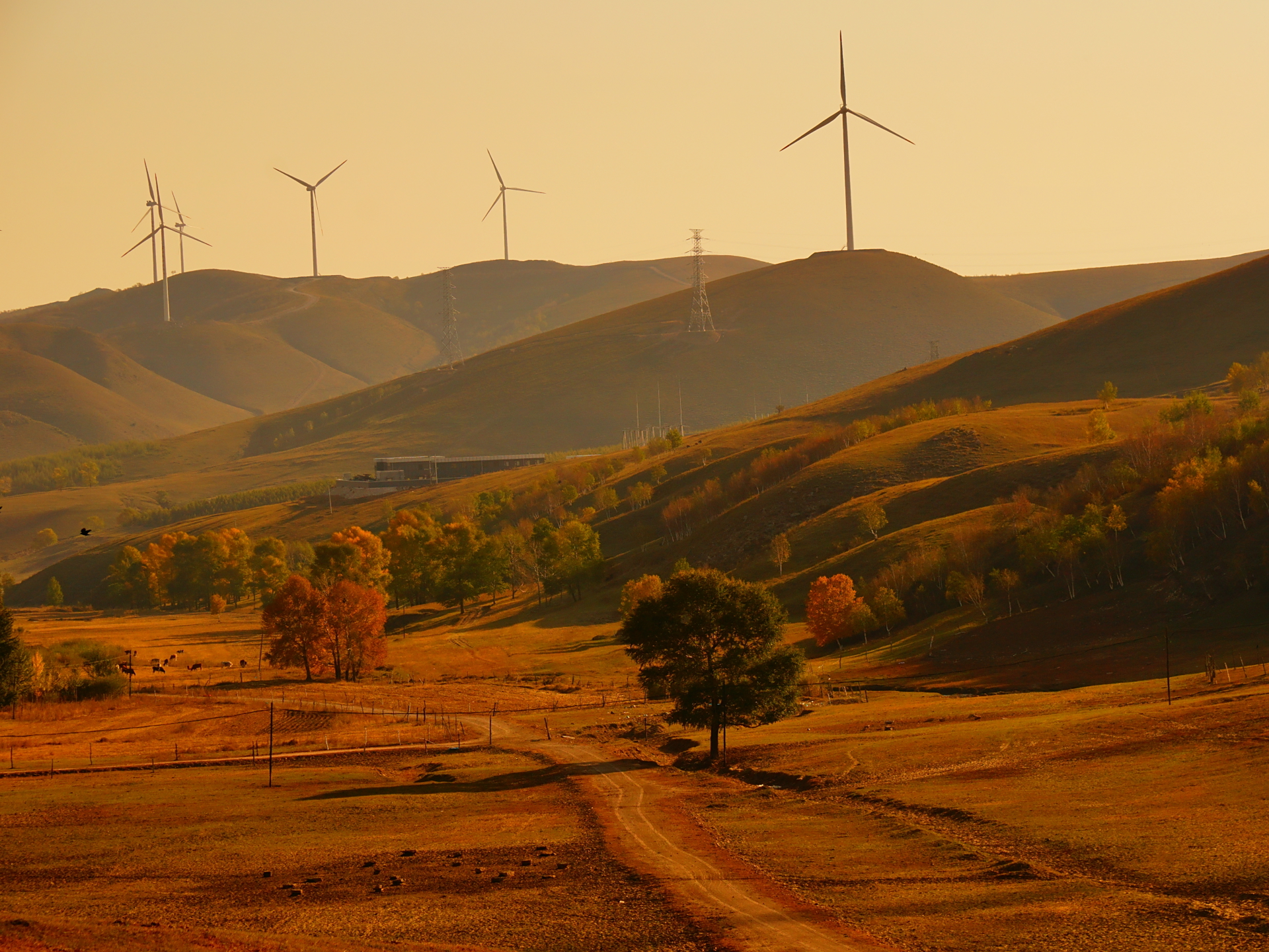 京北第一天路千松坝国家森林公园,千松坝森林公园和京北第一天路