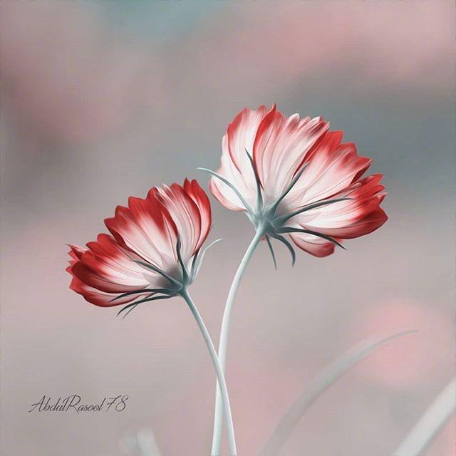 100句鼓舞人心的经典励志名言语句,十句激励人心的人生格言