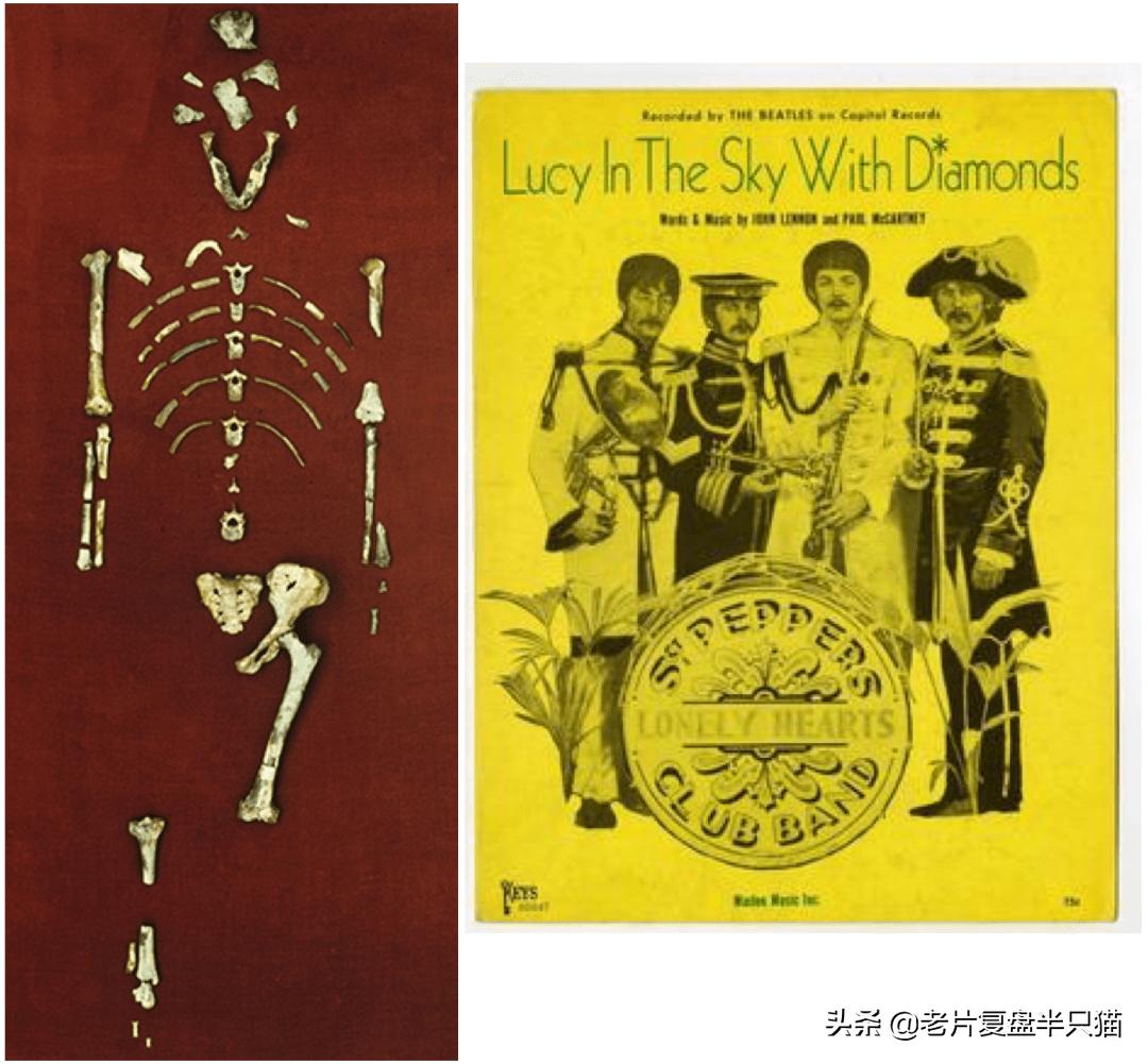 超体跟寡姐有关系吗,超体是寡姐演的吗