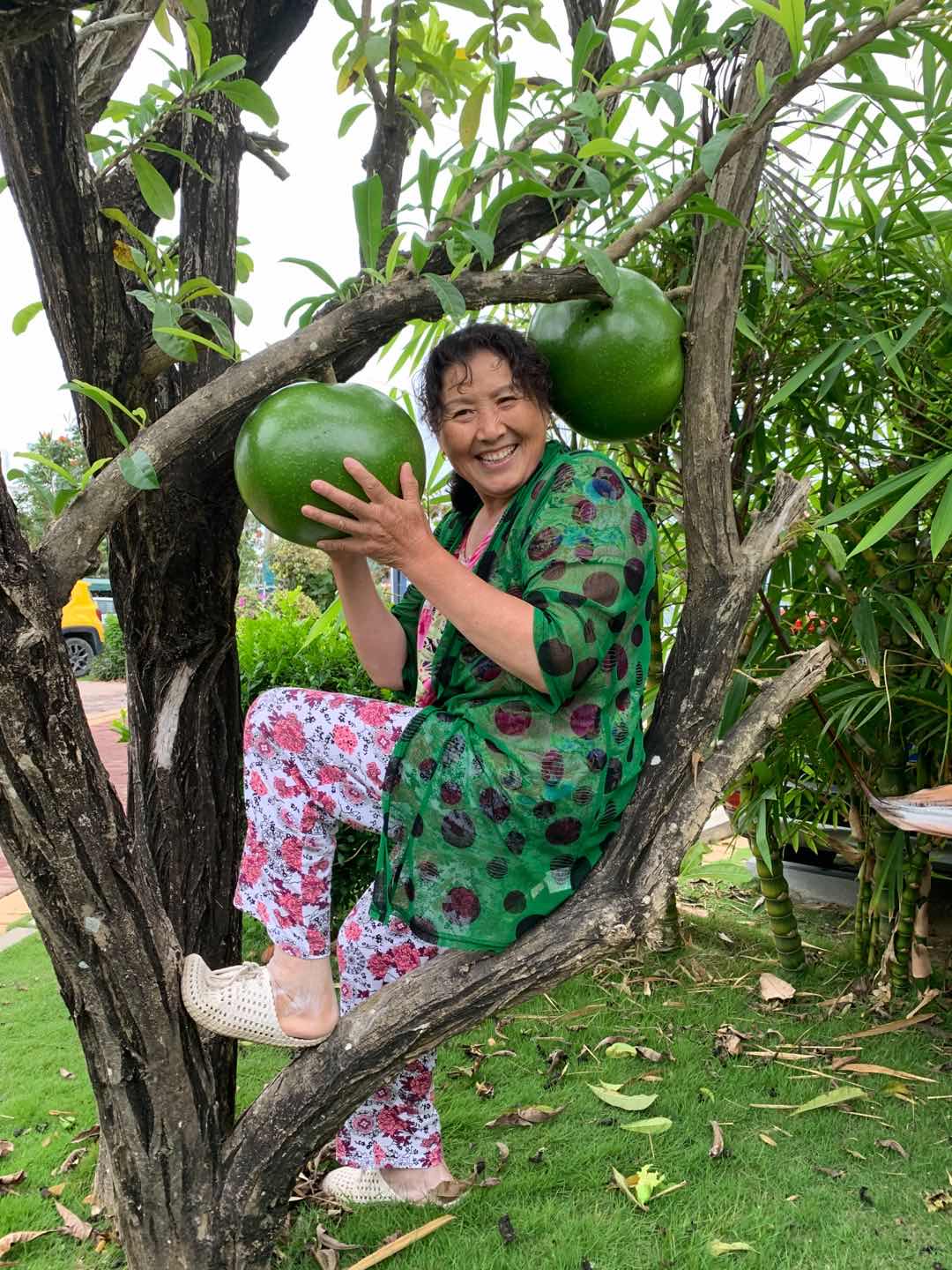 古稀之年天作合-------因祸得福、喜出望外的海南避寒床车之旅