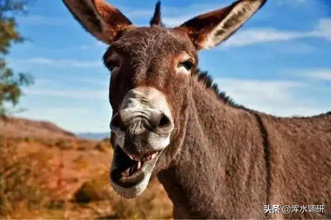 长江健康子公司最新状况,长江健康子公司现状