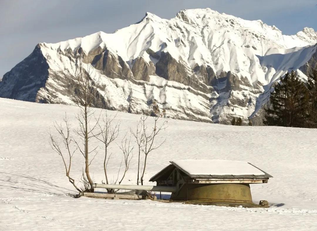 二战德国打瑞士,二战瑞士为何没有遭受德国入侵