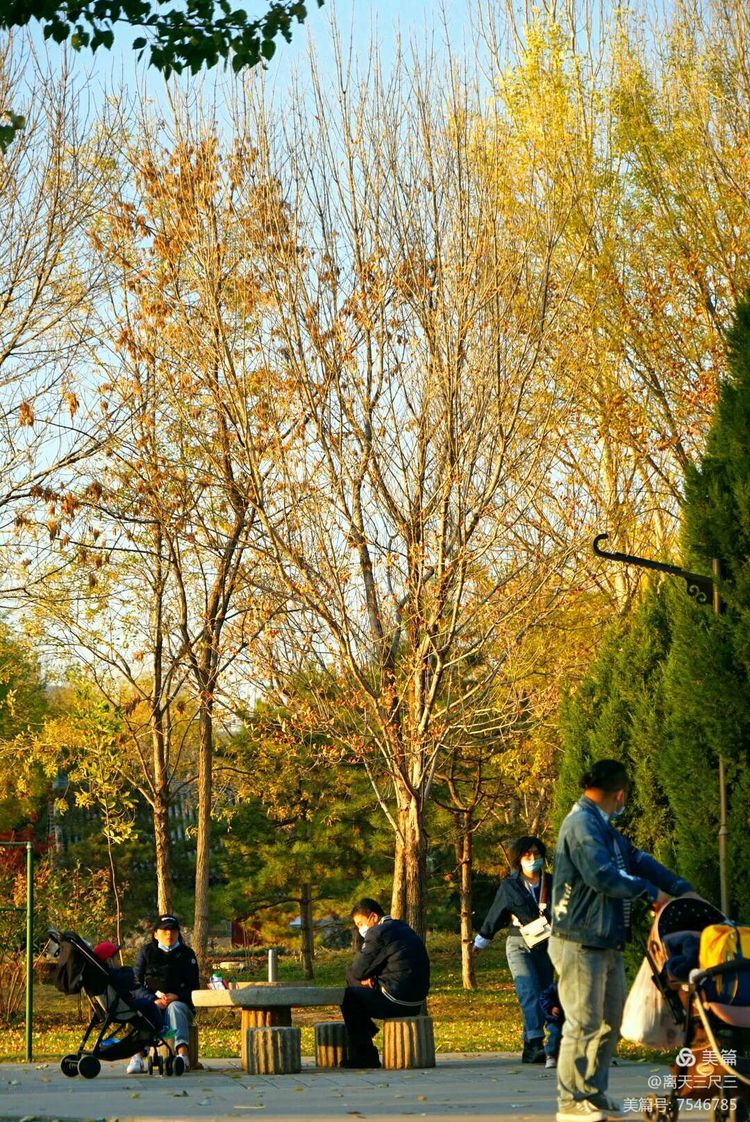 玉泉山北坞公园介绍,北坞村玉泉山