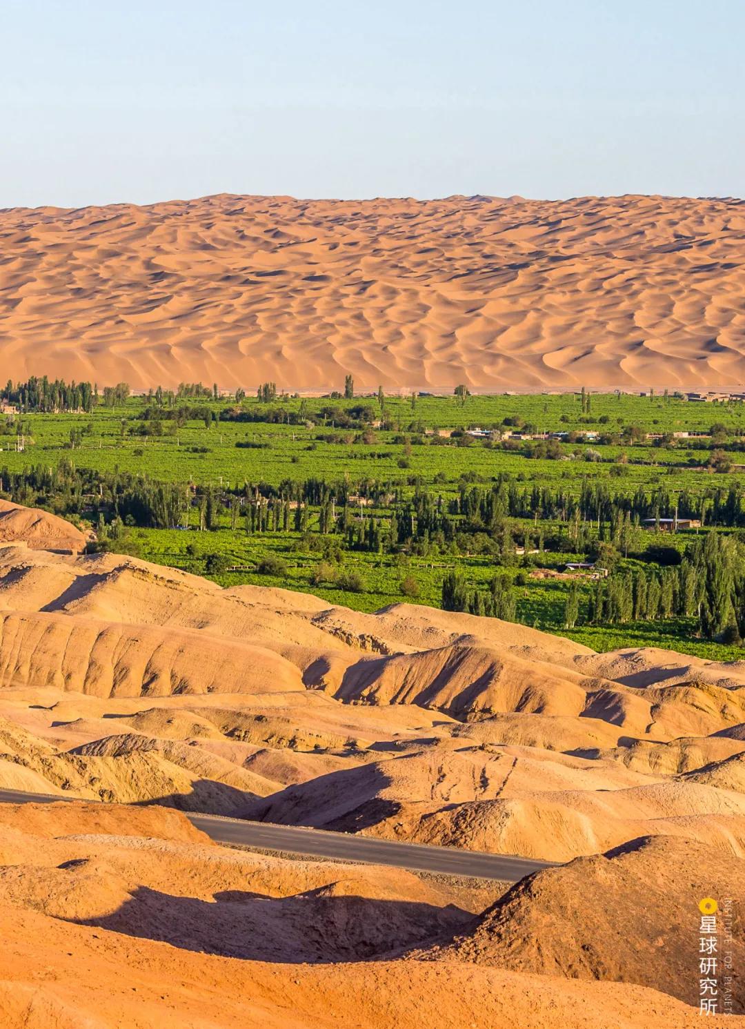 中国植树造林成果国外有什么看法,植树造林改造沙漠