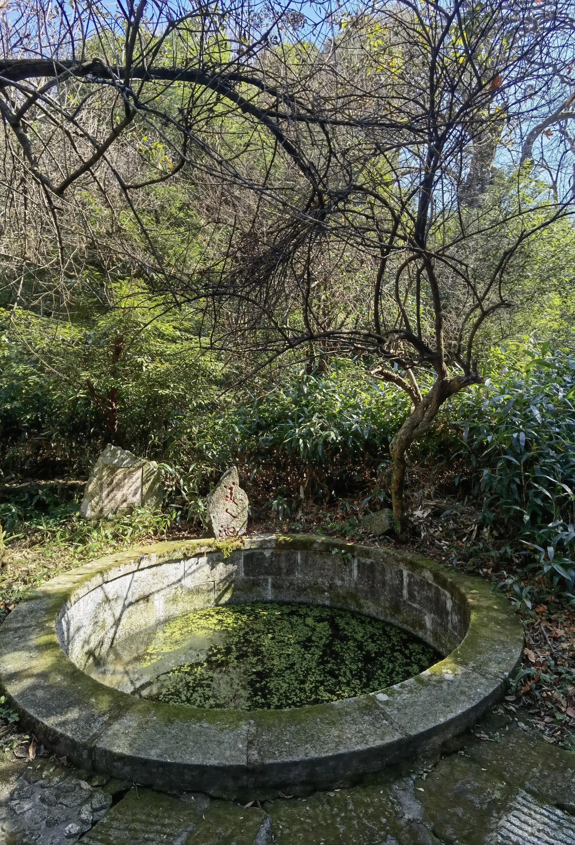 五岳独秀,五岳独秀图文