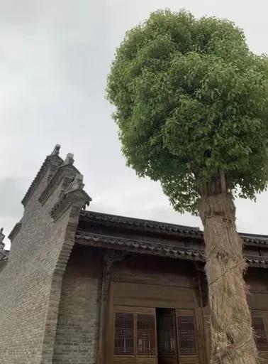 引爆文旅市场,蚌埠城南新建不夜城