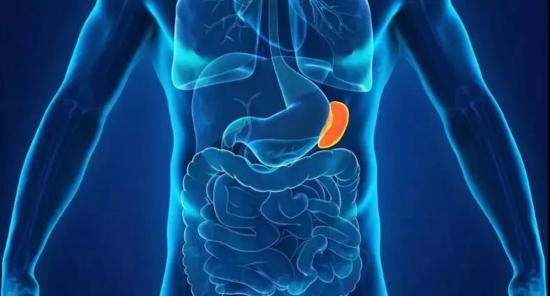 脾胃湿气重应该多喝水还是少喝水,湿气到底怎么来的