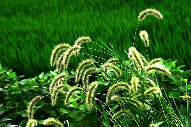 人类原始祖先的生活方式,远古时代我们的祖先怎么生活