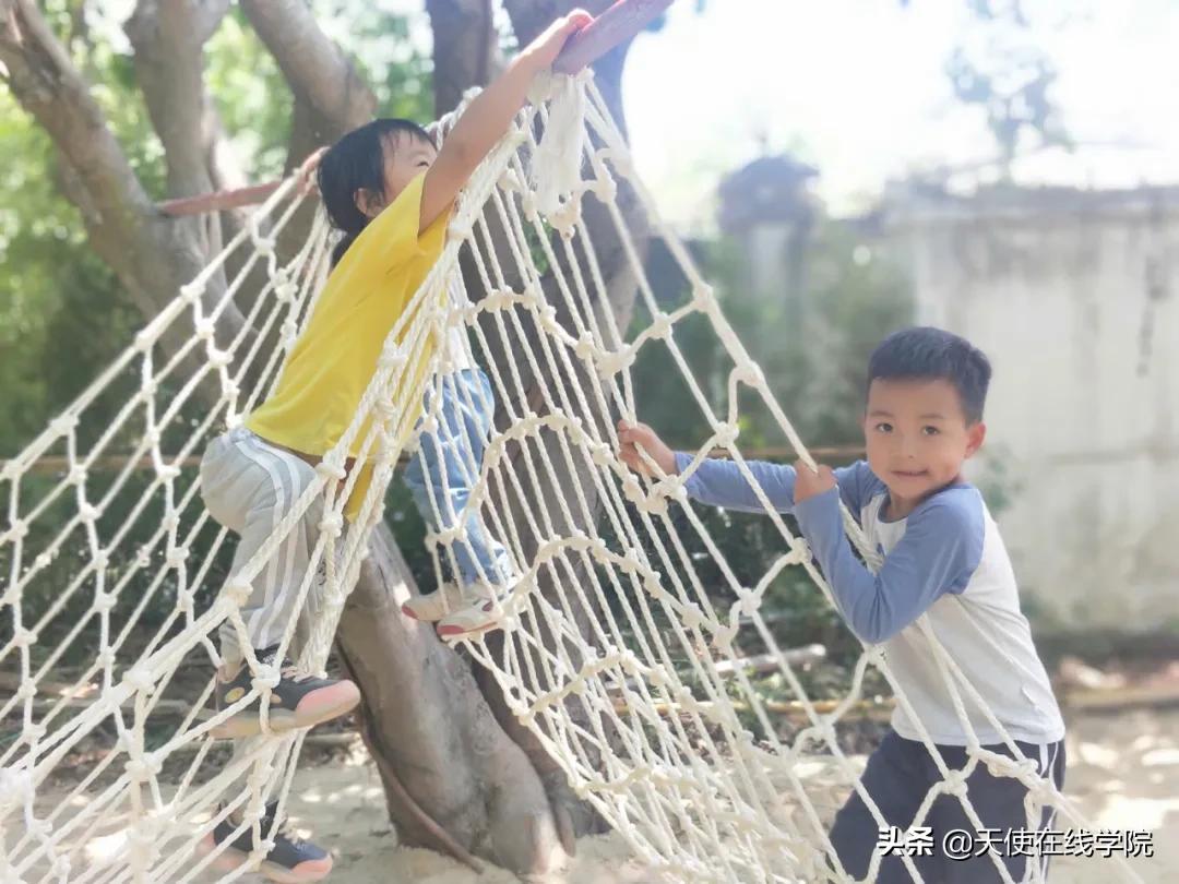 华德福教育的争议是什么,华德福教育的利与弊