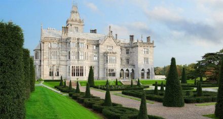 张若昀唐艺昕结婚请柬赠语,张若昀和唐艺昕婚礼宣言