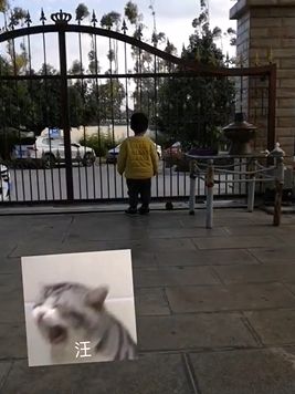 长时间宅家后果,宅在家如何处理亲子关系