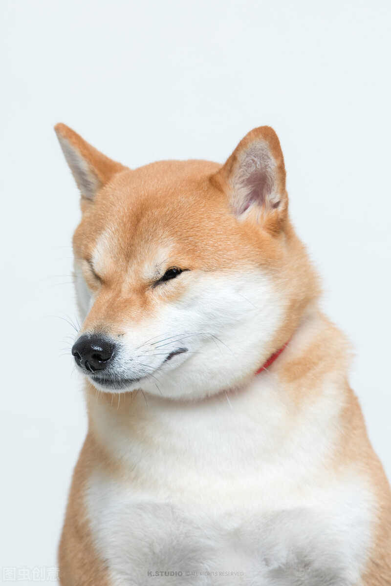 交警用辣椒水喷驾驶员眼睛,交警被喷辣椒水有什么危害