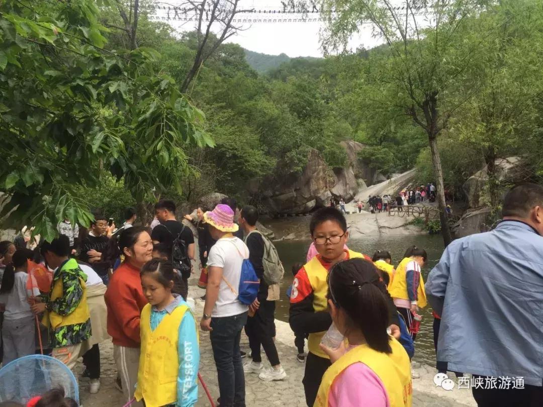 五一八泉峡景区接待量,西峡旅游迎来客流新高峰