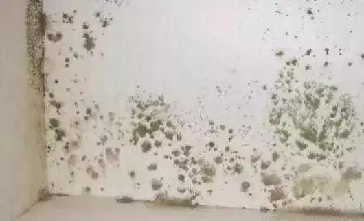 家里的白墙弄脏了怎样才能擦干净,家里白墙脏了怎么用乳胶漆补救