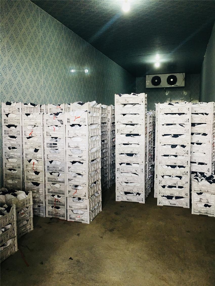 江苏供销让农民当上甩手“田掌柜”