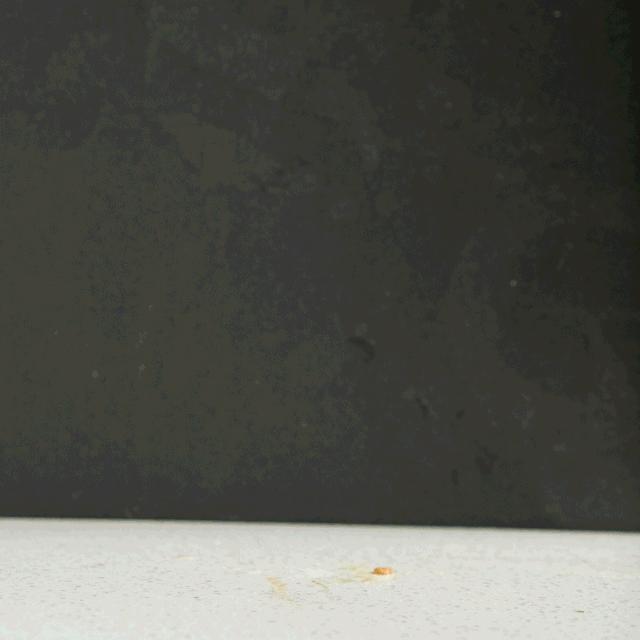 广州虾蟹火锅,油爆蟹火锅哪家好