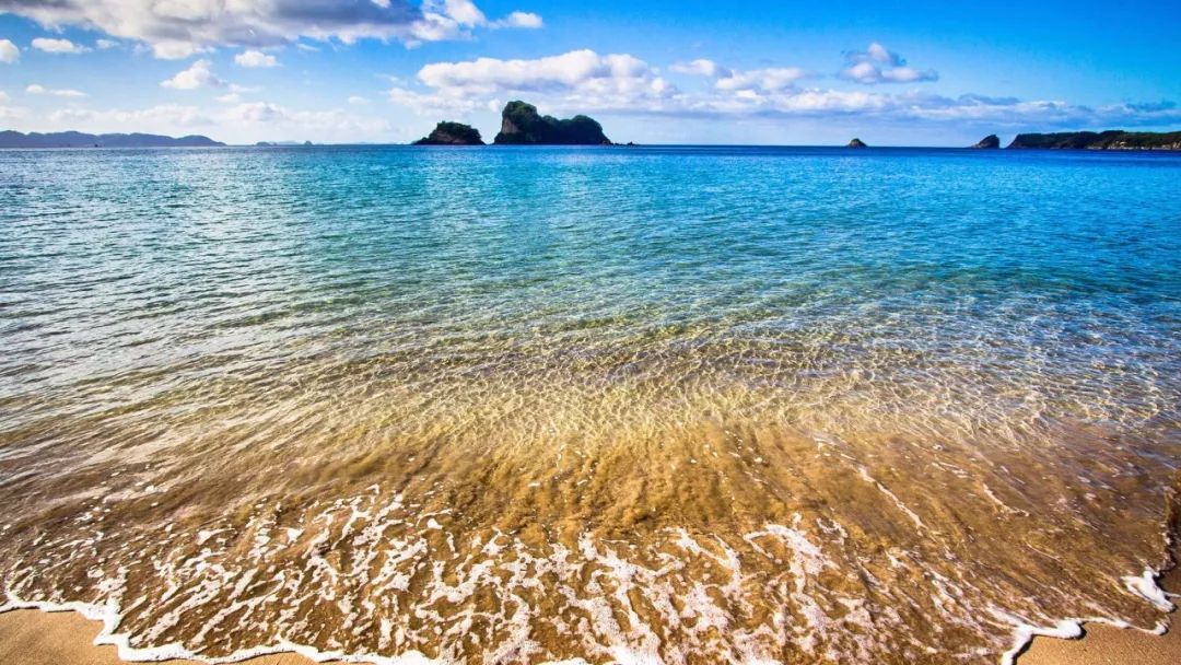 滚蛋，你才是有病的那一个