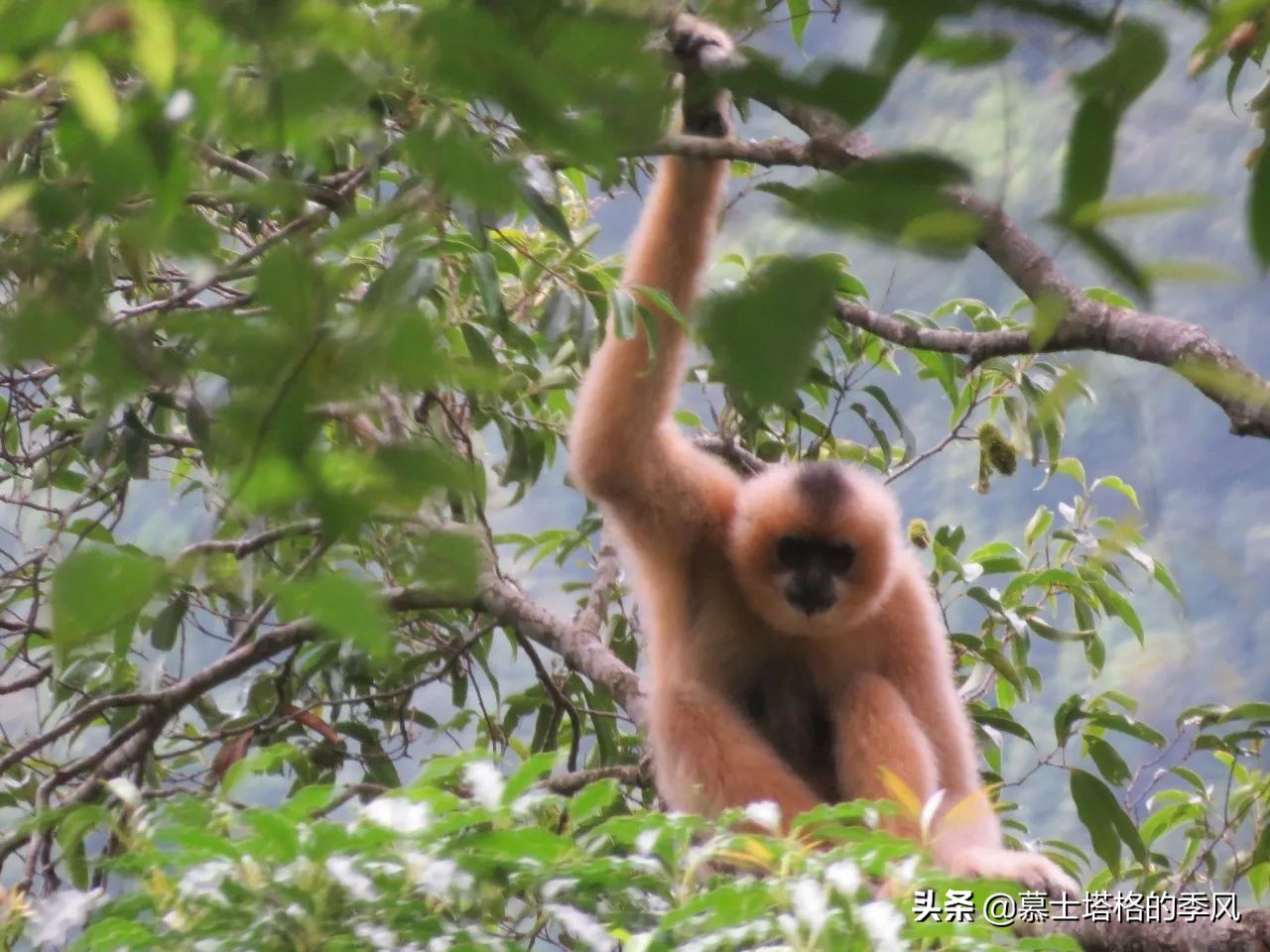 海南哪个地方适合养老价格还便宜,海南最适合的养老胜地