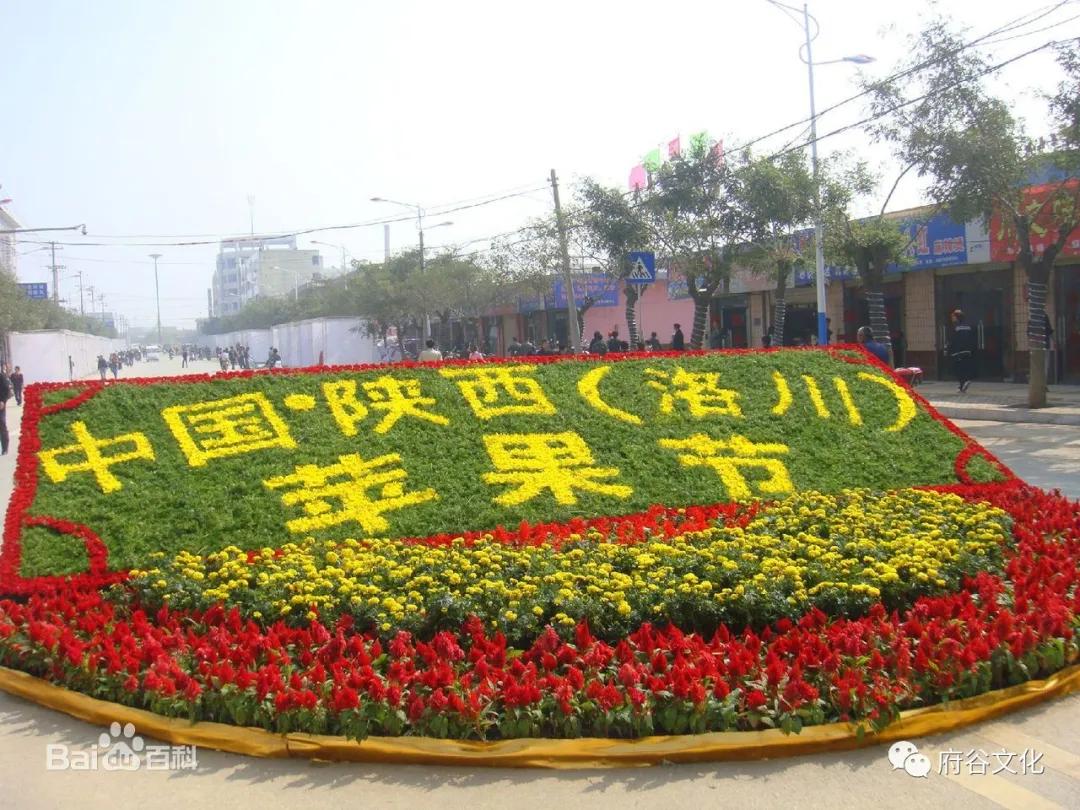 张亚文秦安,张亚文全集