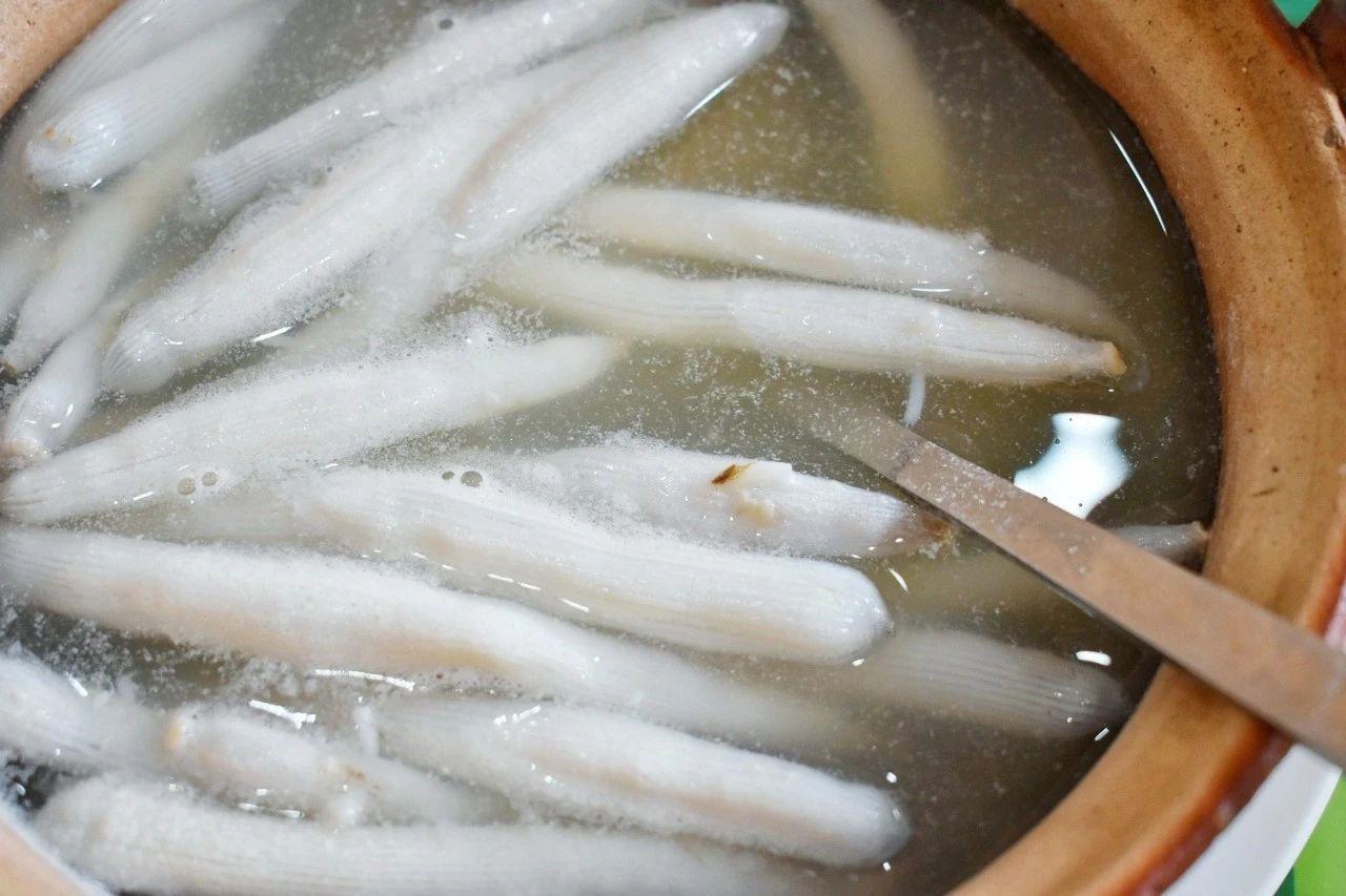 比顺德潮汕还生猛!广东这座小城又撩又骚,现在去正是好时机