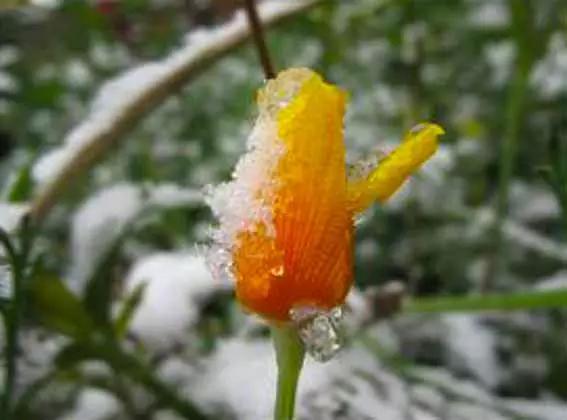 友友们一定要看，紧急看！