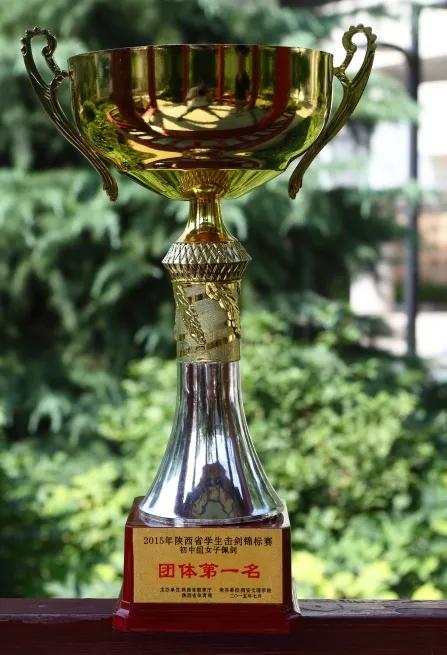 西安汇知中学怎么样,西安汇知中学会转公办吗