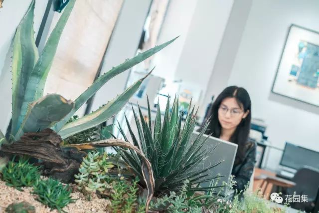 园林式办公区效果图,办公区花园景观设计