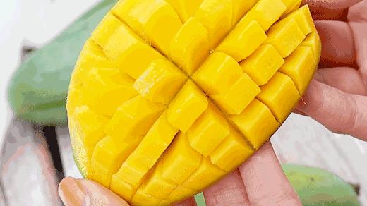 越南大青芒芒果中的巨无霸,越南大青芒泰国酸脆青芒果