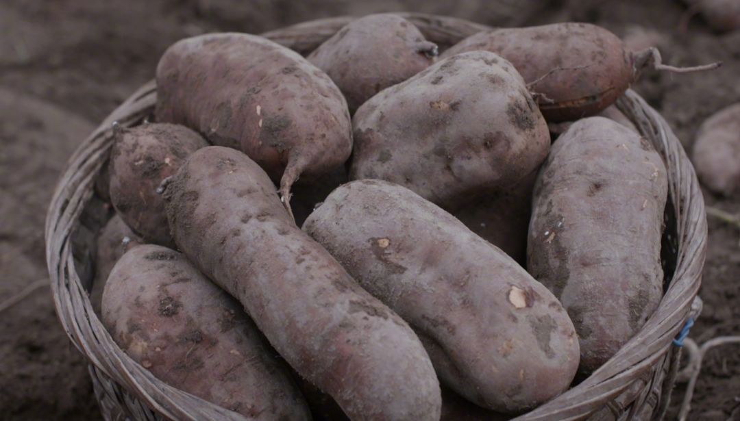 福建最值得一吃的美食,值得特意去吃的美食