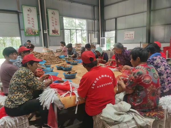 地瓜也能卖到一个亿？济南辞职卖地瓜女白领回应：每天两万单，年营收破亿不是空话