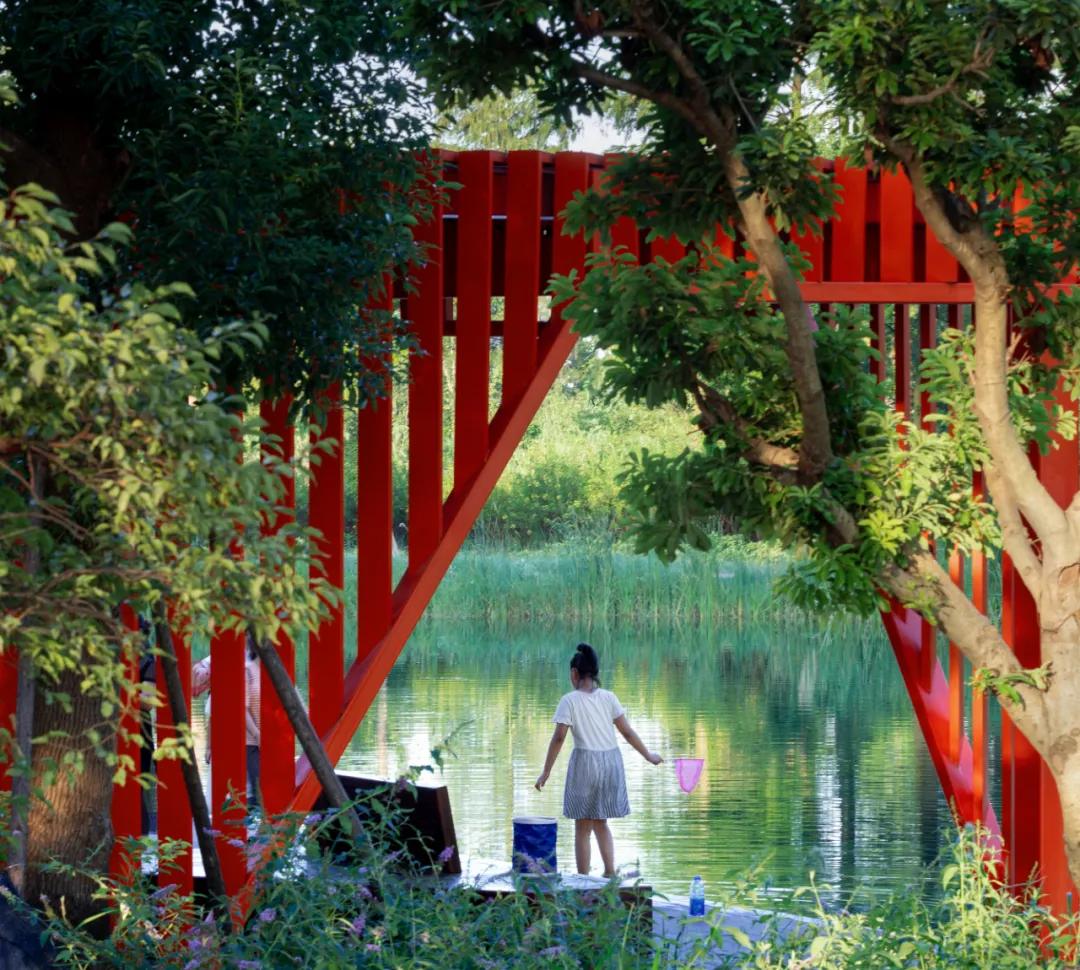 武汉华侨城湿地公园绿化,华侨城生态湿地公园武汉什么区