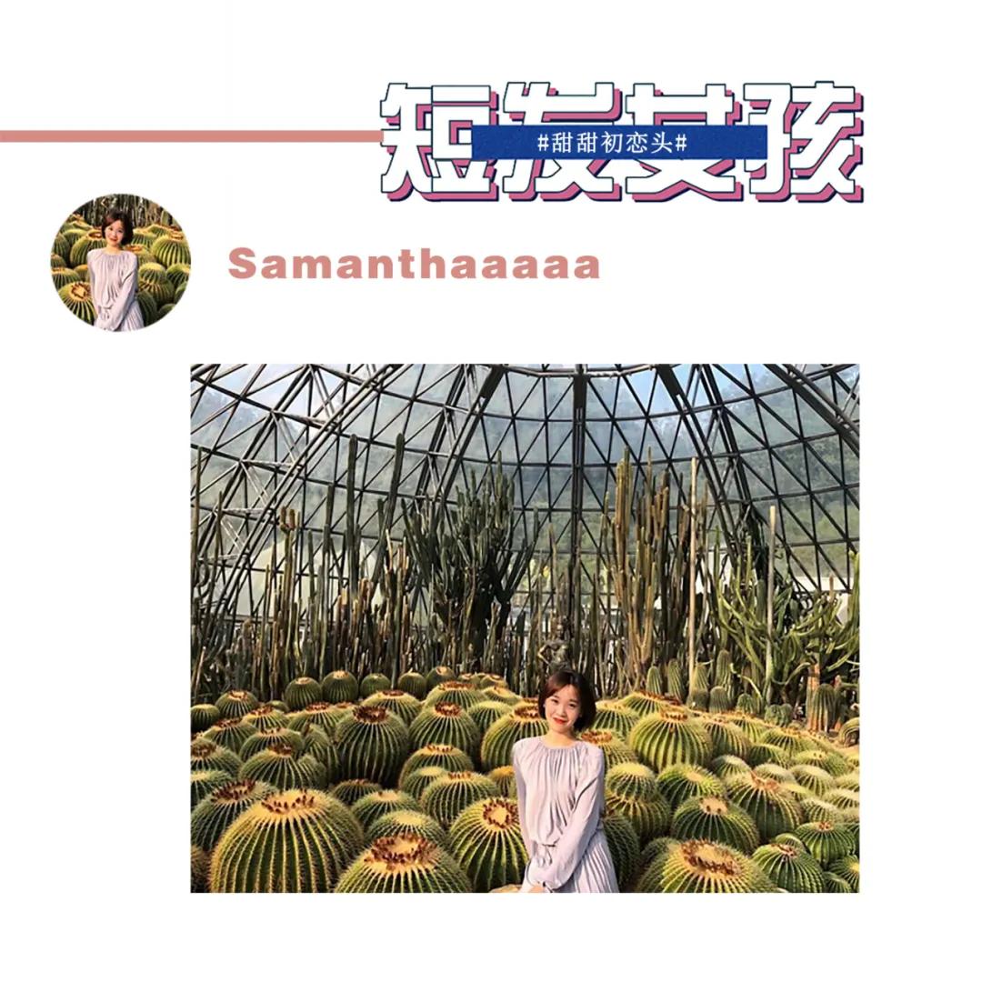 女孩子发型短发怎么剪好看,女孩子短发怎么剪