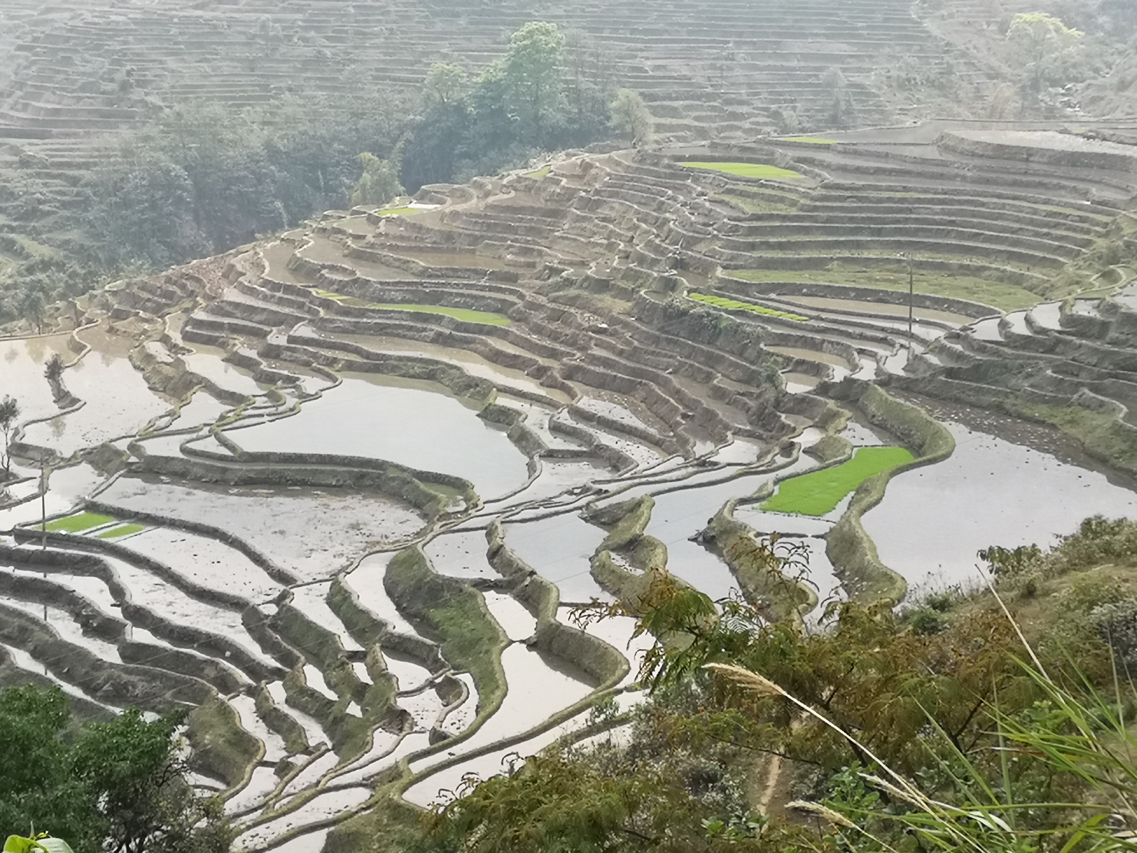 去云南旅游自驾2万元够吗,不到2000元的云南十日游