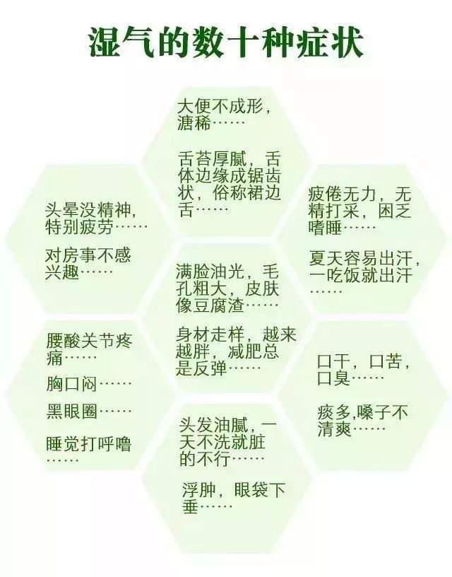 一夜春雨万物醒,一夜春雨滋润万物