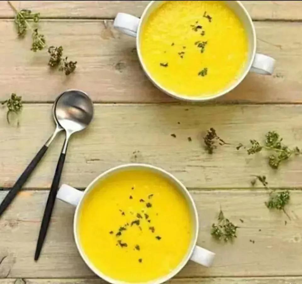 观花草本植物推荐,最具观赏性的观叶植物