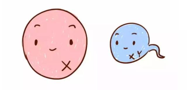 那些民间疯传能够判断胎儿性别的伪科学方法，居然还真的有人相信