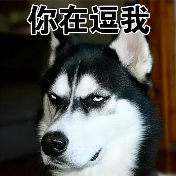 ktcg48p5寸显示器,ktc42寸oled显示器