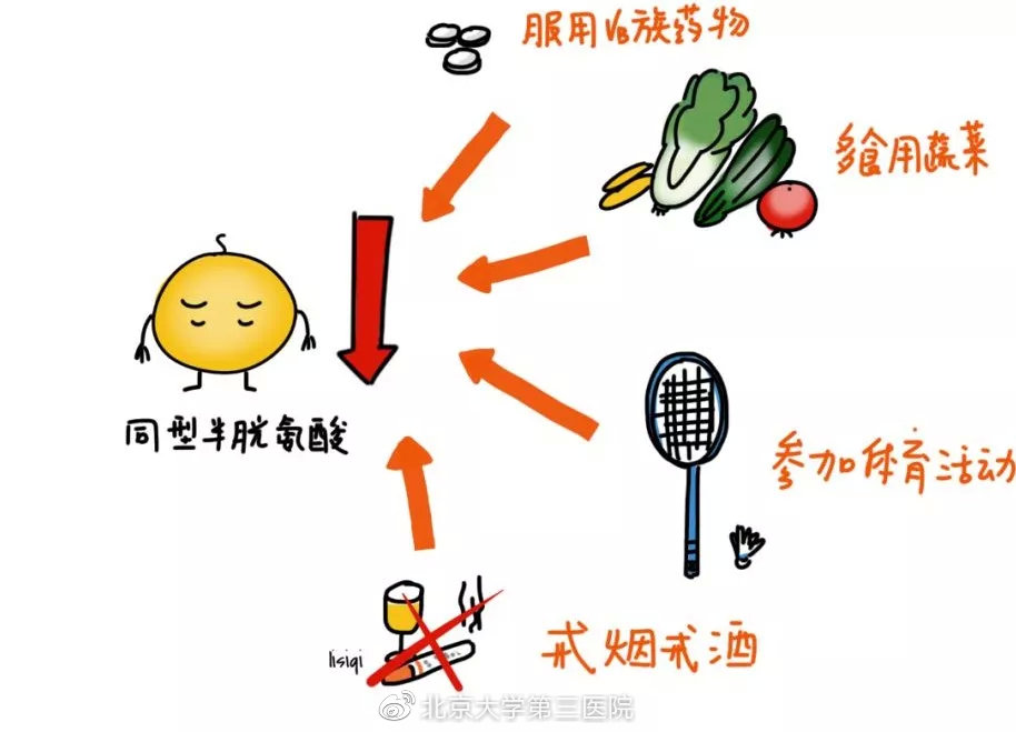 同型半胱氨酸与三高有什么关系 (有高血压同型半胱氨酸高)