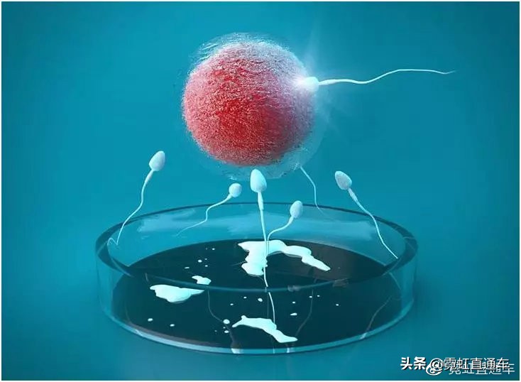 全球首例试管婴儿在哪国,日本试管婴儿有多少人