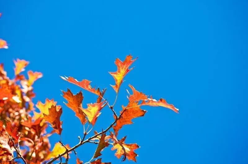 宫颈癌筛查时哪些情况需要做阴道镜?