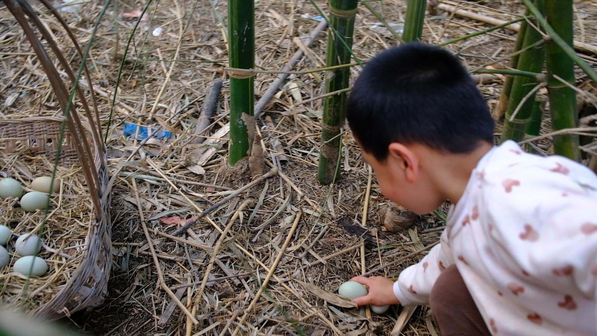 卖完公鸡留母鸡生蛋，不按斤按盒卖70-100块，居然收入千万
