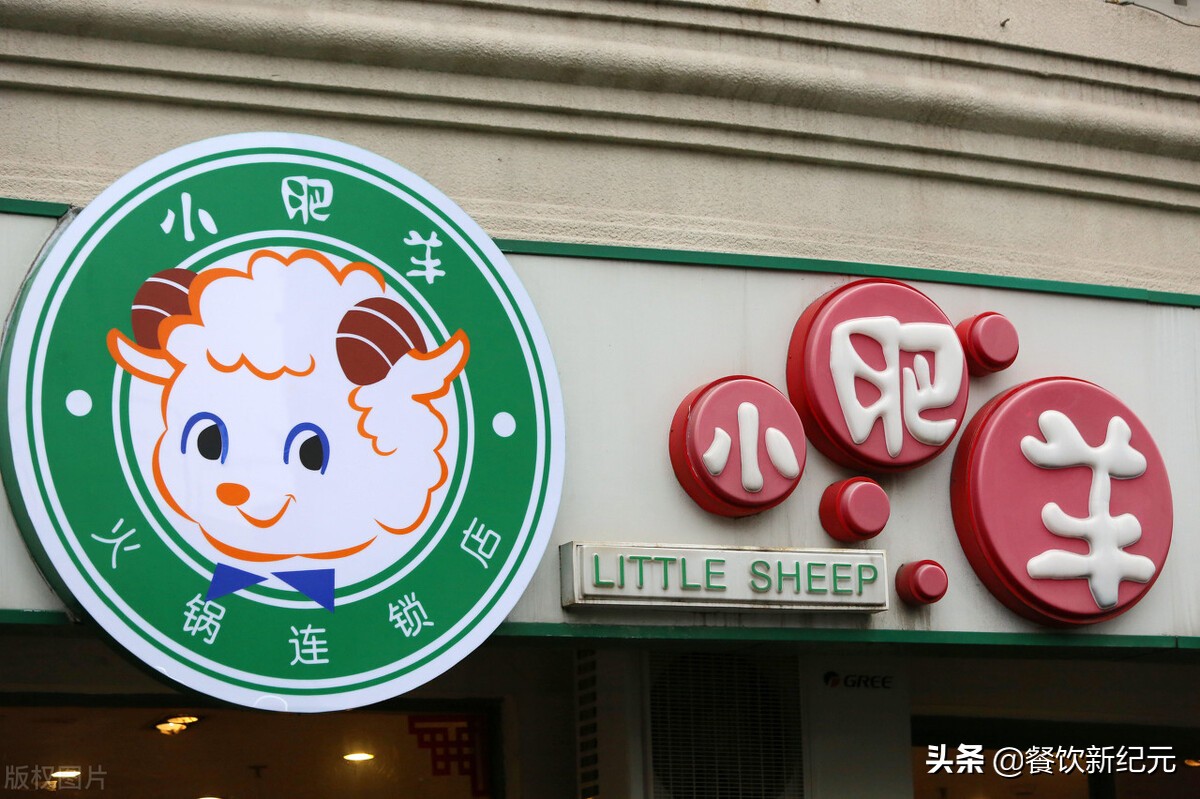 海底捞和小肥羊的研究,小肥羊为什么没落