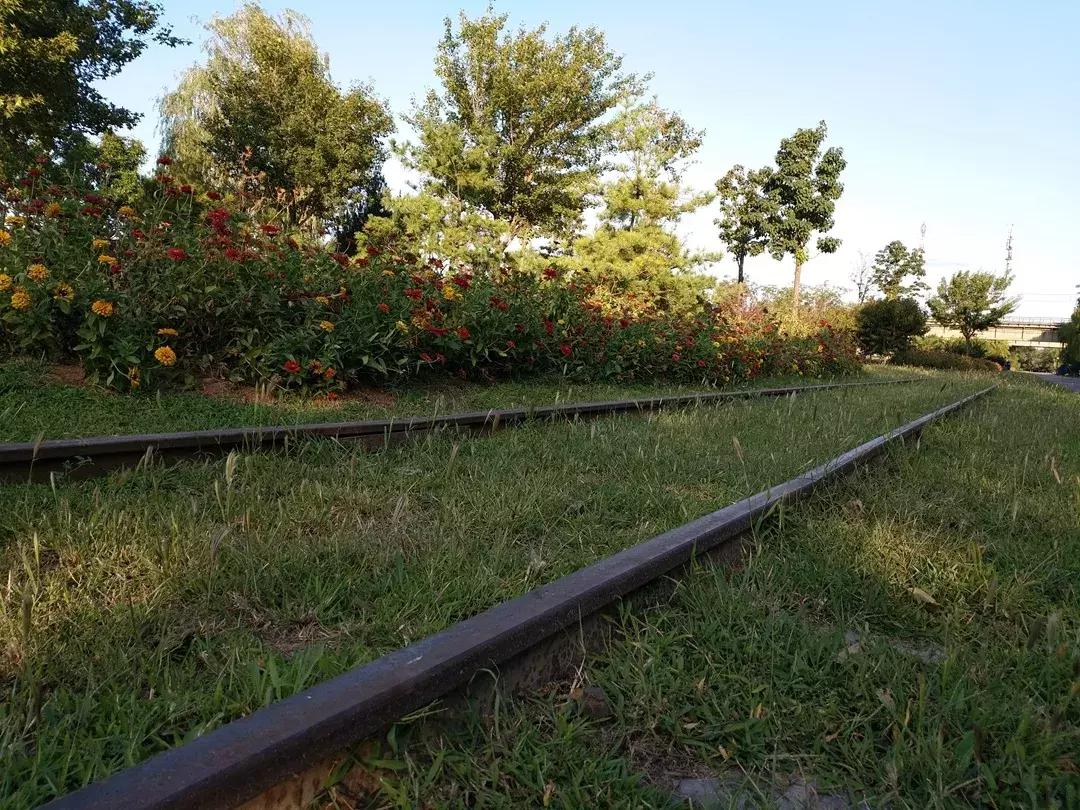 体验火车观光不用去火车站，来北京这个免费公园就可以！距市中心18公里，人少适合闲逛！